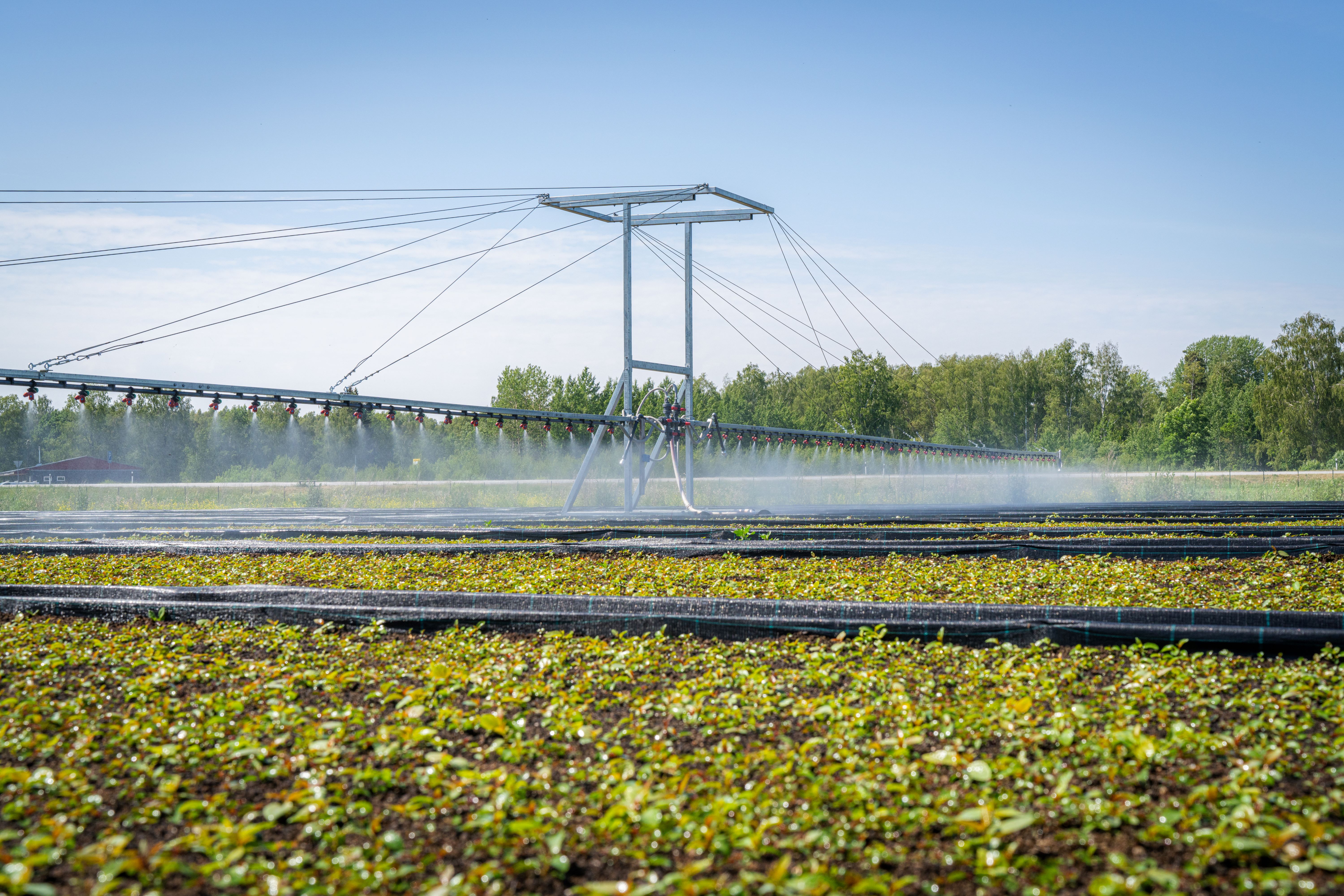 Irrigation boom